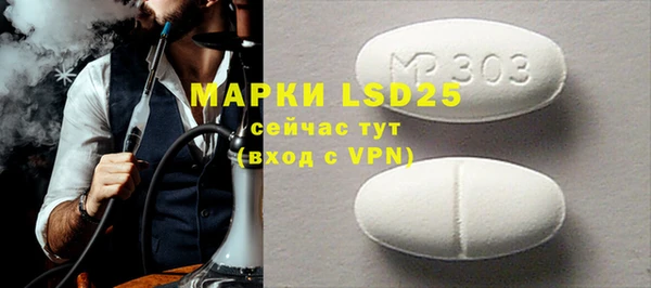 ГАЛЛЮЦИНОГЕННЫЕ ГРИБЫ Горняк