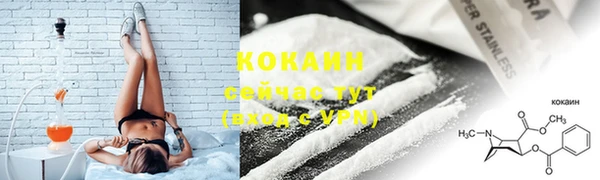apvp Горно-Алтайск