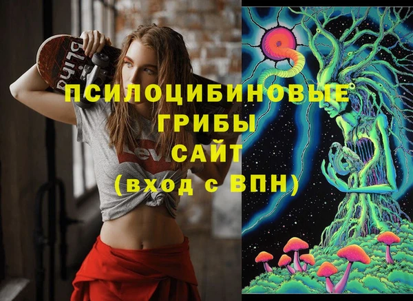 дурь Горнозаводск