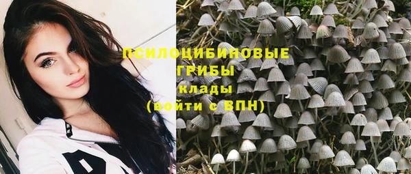дурь Горнозаводск