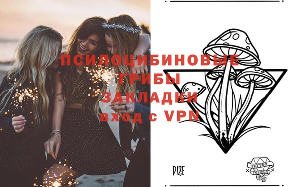 apvp Горно-Алтайск