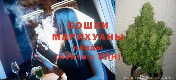 ГАЛЛЮЦИНОГЕННЫЕ ГРИБЫ Горняк