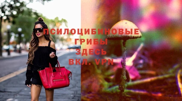дурь Горнозаводск