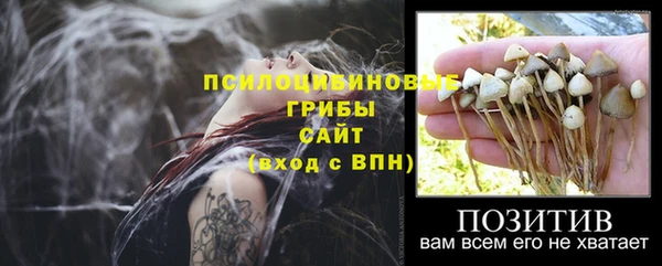 дурь Горнозаводск
