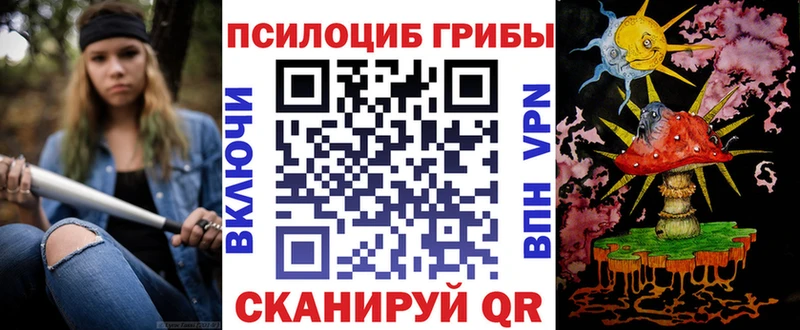 Галлюциногенные грибы Cubensis  хочу   Мостовской 